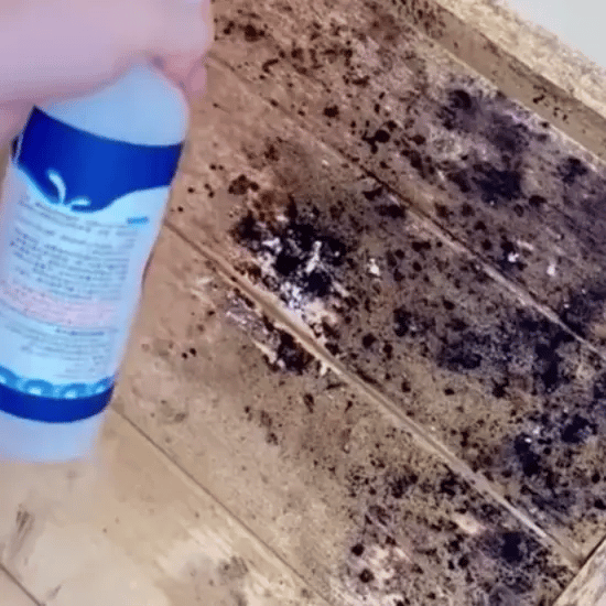 Spray Anti-Mucegai-CuratMax